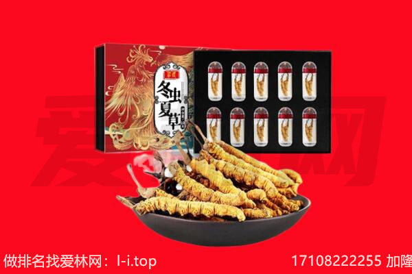 深圳盐田区回收虫草.jpg